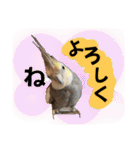 ブライアンと仲間たち（個別スタンプ：8）
