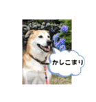 ブライアンと仲間たち（個別スタンプ：9）