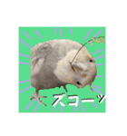 ブライアンと仲間たち（個別スタンプ：18）