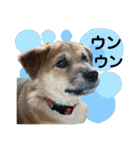 ブライアンと仲間たち（個別スタンプ：20）