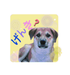 ブライアンと仲間たち（個別スタンプ：21）
