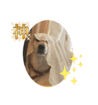 ブライアンと仲間たち（個別スタンプ：23）