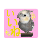 ブライアンと仲間たち（個別スタンプ：25）