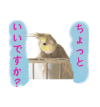 ブライアンと仲間たち（個別スタンプ：32）