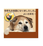ブライアンと仲間たち（個別スタンプ：39）