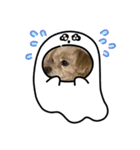 10/31Halloween（個別スタンプ：5）