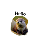 カワウソ otter（個別スタンプ：15）