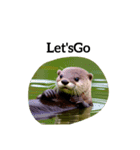 カワウソ otter（個別スタンプ：21）