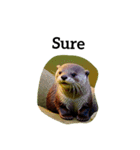 カワウソ otter（個別スタンプ：31）