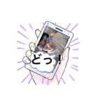 ビエラ5（個別スタンプ：14）