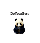 ぱんだ panda.（個別スタンプ：5）