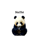 ぱんだ panda.（個別スタンプ：22）