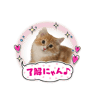 我が家のニャンズ大集Go！（個別スタンプ：32）