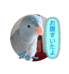 マメルリハ達13（個別スタンプ：1）