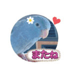 マメルリハ達13（個別スタンプ：5）