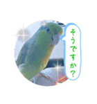マメルリハ達13（個別スタンプ：7）