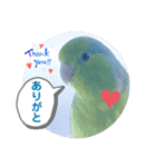 マメルリハ達13（個別スタンプ：19）