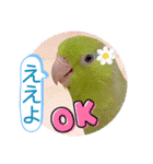 マメルリハ達13（個別スタンプ：23）