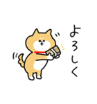 脱力柴ねこ_元気に褒めまくる毎日（個別スタンプ：11）