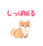 柴犬スタンプ40連発！！！（個別スタンプ：19）