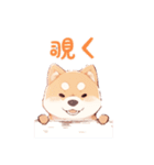 柴犬スタンプ40連発！！！（個別スタンプ：24）