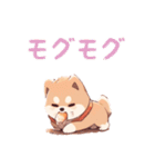 柴犬スタンプ40連発！！！（個別スタンプ：36）