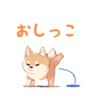 柴犬スタンプ40連発！！！（個別スタンプ：39）