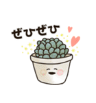 ♡かわいい多肉植物③♡毎日使える（個別スタンプ：32）