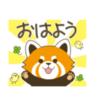 レッサーパンダ三昧（個別スタンプ：1）