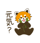 レッサーパンダ三昧（個別スタンプ：11）