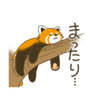 レッサーパンダ三昧（個別スタンプ：33）