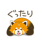 レッサーパンダ三昧（個別スタンプ：34）