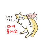 うちの猫と韓国語3（日本語訳あり）（個別スタンプ：3）