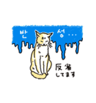 うちの猫と韓国語3（日本語訳あり）（個別スタンプ：4）