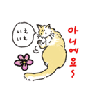 うちの猫と韓国語3（日本語訳あり）（個別スタンプ：5）