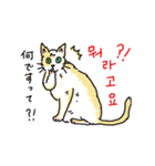 うちの猫と韓国語3（日本語訳あり）（個別スタンプ：7）