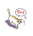 うちの猫と韓国語3（日本語訳あり）（個別スタンプ：12）