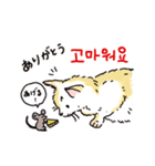 うちの猫と韓国語3（日本語訳あり）（個別スタンプ：15）