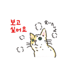 うちの猫と韓国語3（日本語訳あり）（個別スタンプ：16）