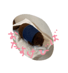 かわいいビーバーちゃんと、その仲間たち（個別スタンプ：4）