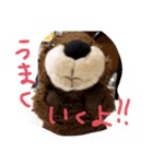 かわいいビーバーちゃんと、その仲間たち（個別スタンプ：7）