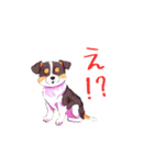 AI dogs（個別スタンプ：5）