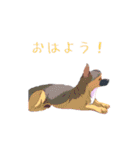 AI dogs（個別スタンプ：9）