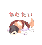 AI dogs（個別スタンプ：23）