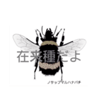 ミツバチと生き物いろいろvol.12.1（個別スタンプ：19）