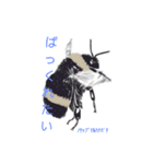 ミツバチと生き物いろいろvol.12.1（個別スタンプ：30）