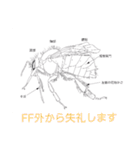 ミツバチと生き物いろいろvol.12.1（個別スタンプ：32）