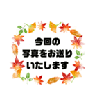 接客業♣お客様宛②秋 予約受付.連絡大文字（個別スタンプ：24）