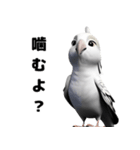 素っ気ないインコ [修正版]（個別スタンプ：16）