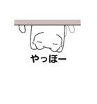 可愛い白猫さんだよ（個別スタンプ：1）